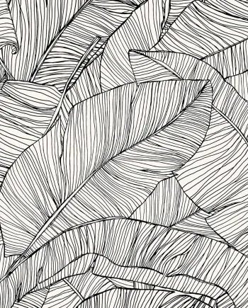 Papel Pintado Tropical Hojas Banano Monocromático Blanco y Negro. Superfresco Easy Kaya Mono.